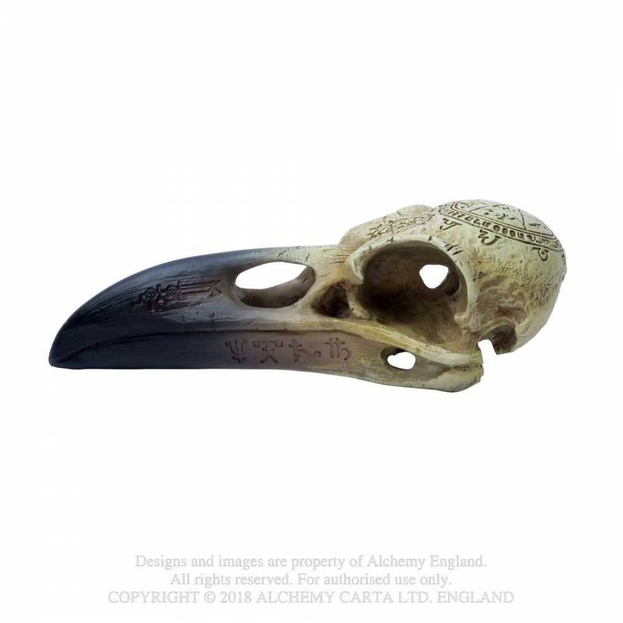 Omega Raven Skull