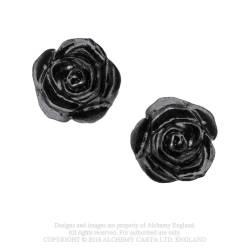 The Romance of Black Rose Stud (E339) ~ Studs | Alchemy England