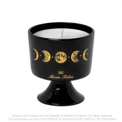 Lunaeca Moon Bat Black Tea Light Holder by Alchemy Gothic - Gothic  Accessories