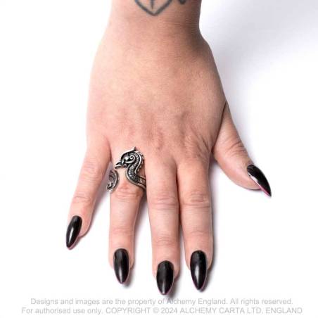 Fafnirok (R252) ~ Rings | Alchemy England