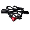 Blood Heart (P746) ~ Chokers | Alchemy England