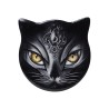 Sacred Cat (CC17) ~ Individual Coasters | Alchemy England