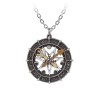 Astro-lunial Compass (P935) ~ Pendants | Alchemy England