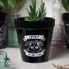 Catnip Plant Pot (GPP3) ~ Plant Pots | Alchemy England