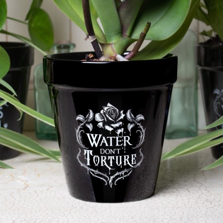 Water Don't Torture Plant Pot (GPP4) ~ Plant Pots | Alchemy England