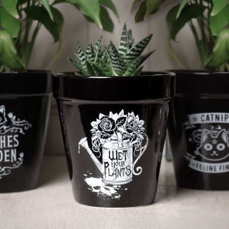 Wet Your Plants Plant Pot (GPP5) ~ Plant Pots | Alchemy England