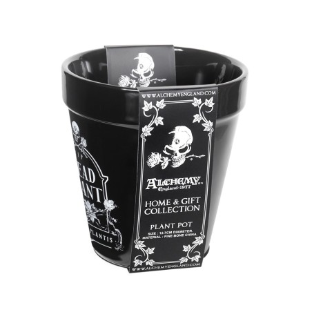 Dead Plant Plant Pot (GPP7) ~ Plant Pots | Alchemy England