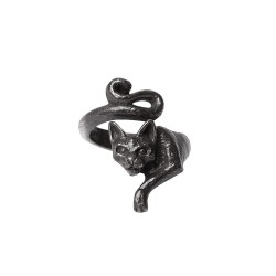 Le Chat Noir (R249) ~ Rings | Alchemy England