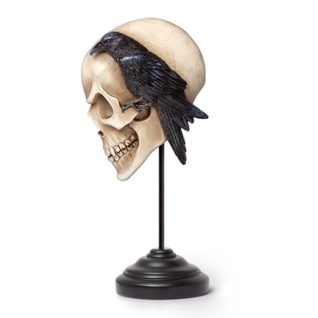 Nevermore Skull - Ornament & Wall Decoration (V122) ~ Ornaments | Alchemy England