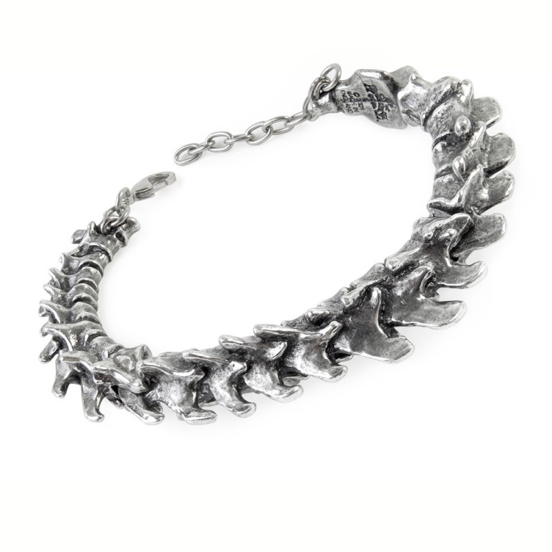 Vertebrae (A29) ~ Bangles | Alchemy England