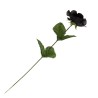 Black Imitation rose (ROSE1) ~ Black Roses | Alchemy England