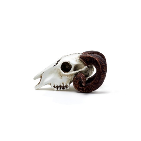 Rams Skull: Miniature (VM1) ~ Ornaments | Alchemy England